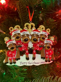 New The Jolly Christmas Shop Reindeer Family Of 6 Personalized Christmas Ornament OR2256-6